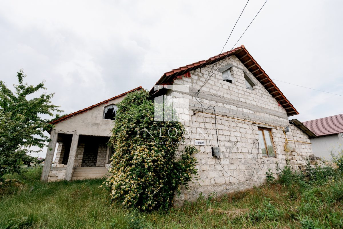 intown-property