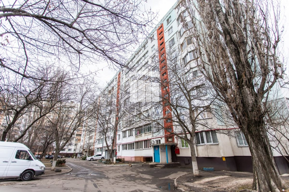 intown-property