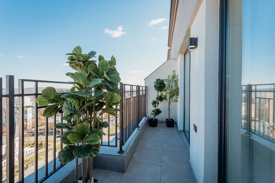 intown-property